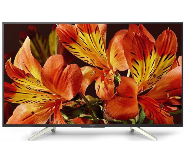SONY KD49XF8596 UHD - 467229 - zdjęcie